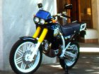 Honda AM-1 (NX 250 Dominator)